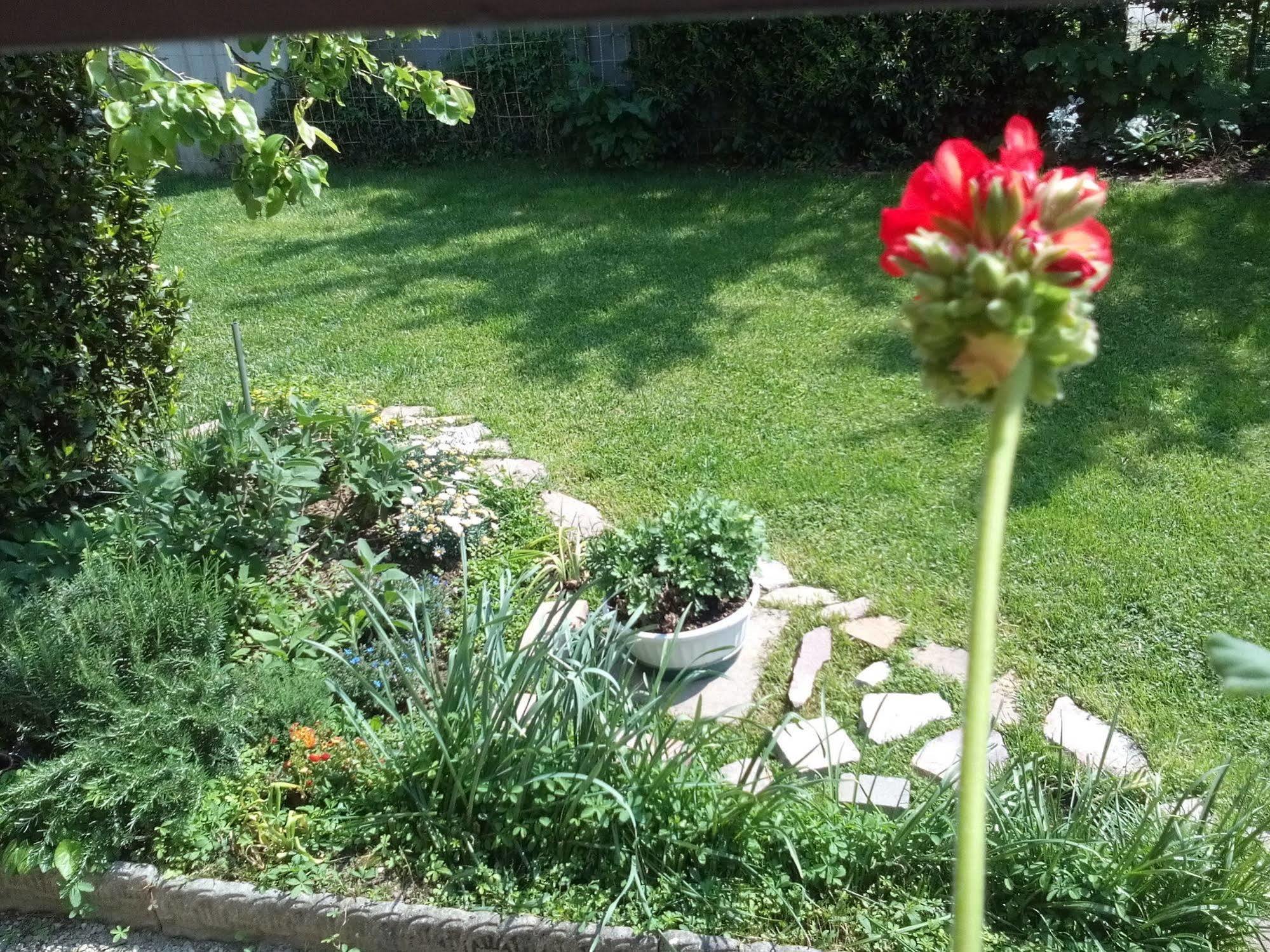 Bed and Breakfast Casa Emanuela Piazzola sul Brenta Exterior foto